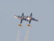 Aero Vodochody L-29 Delfin - Sasol Flying Tigers 2005 Photo  D Coombe