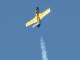 Aero Vodochody L-29 Delfin - Sasol Flying Tigers 2005 Photo  D Coombe