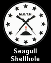 Seagull Shellhole Hermanus