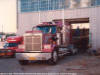 Western Star - 'Pink-Panther'