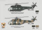 Puma Drawing 19 Squadron - William S Marshall - 2006