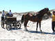 horse_buggy_strandfontein_01_dvdb08.JPG