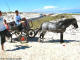 horse_buggy_strandfontein_03_dvdb08.JPG
