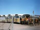 Leyland OPS4/5 B623 and Guy Big J's K878, K885, K880 at Oudtshoorn bus depot - Susan Lawrence 1984