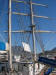 S V Concordia - Sail Training Vessel 16