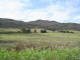 Langkloof - Photo D Coombe 2006