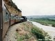 NGG16-131 along Gamtoos River bank with the 'Patensie Wanderer' returning from Patensie - Photo Peter Burton Collection